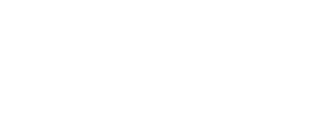 Logo Evo Payments